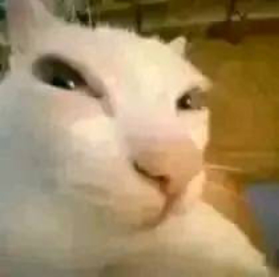 Dominoes tweet media