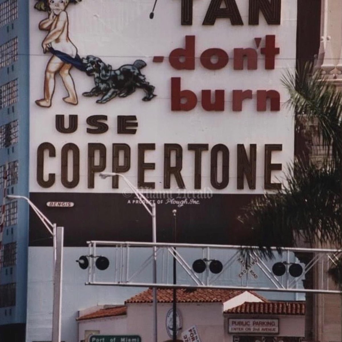 1991: the iconic Coppertone ad on the side of the Parkleigh House apartments on Miami's Biscayne Boulevard (1991 -- a year before demolition) facebook.com/photo.php?fbid… #Miami #brands