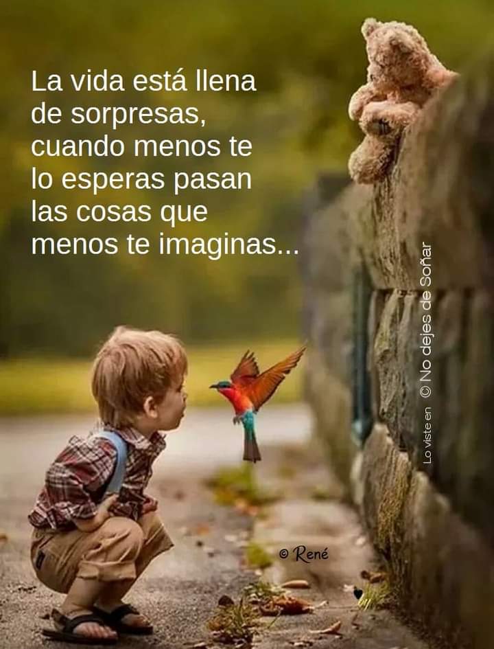 Motivosentuvida's tweet photo. La  vida está llena de sorpresas... https://t.co/CXlOyqDpjU