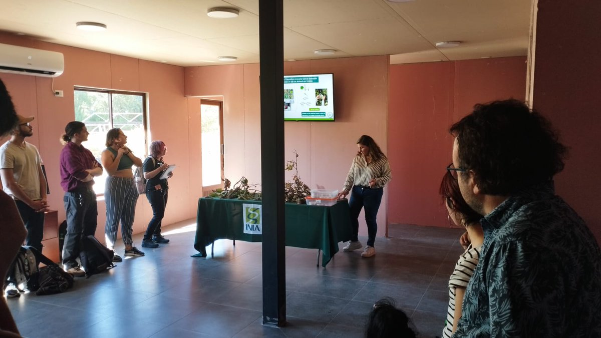 Felices de recibir a los alumos de biotecnología de la <a href="/udeconcepcion/">Universidad de Concepción</a> en el #LabFitoFrutales <a href="/INIAQuilamapu/">INIA Quilamapu</a> 🔬🧬🍄🤓 <a href="/SochifitChile/">Sochifit</a>