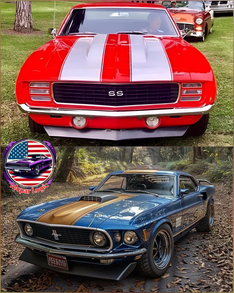 Top or bottom??