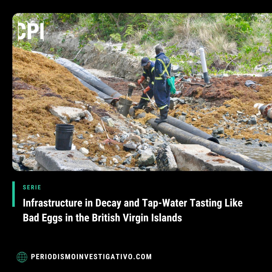 In the British Virgin Islands and other Caribbean islands, sargassum has repeatedly damaged water and power plants, leaving residents without basic services in recent years. Read journalist Freeman Rogers' investigation. ow.ly/51yP50Rk7lp