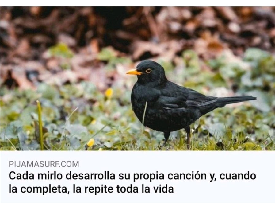 PosadaTeam's tweet photo. Como el reggaetón que llevan 20 años haciendo la misma canción. https://t.co/miUDzbjEIb