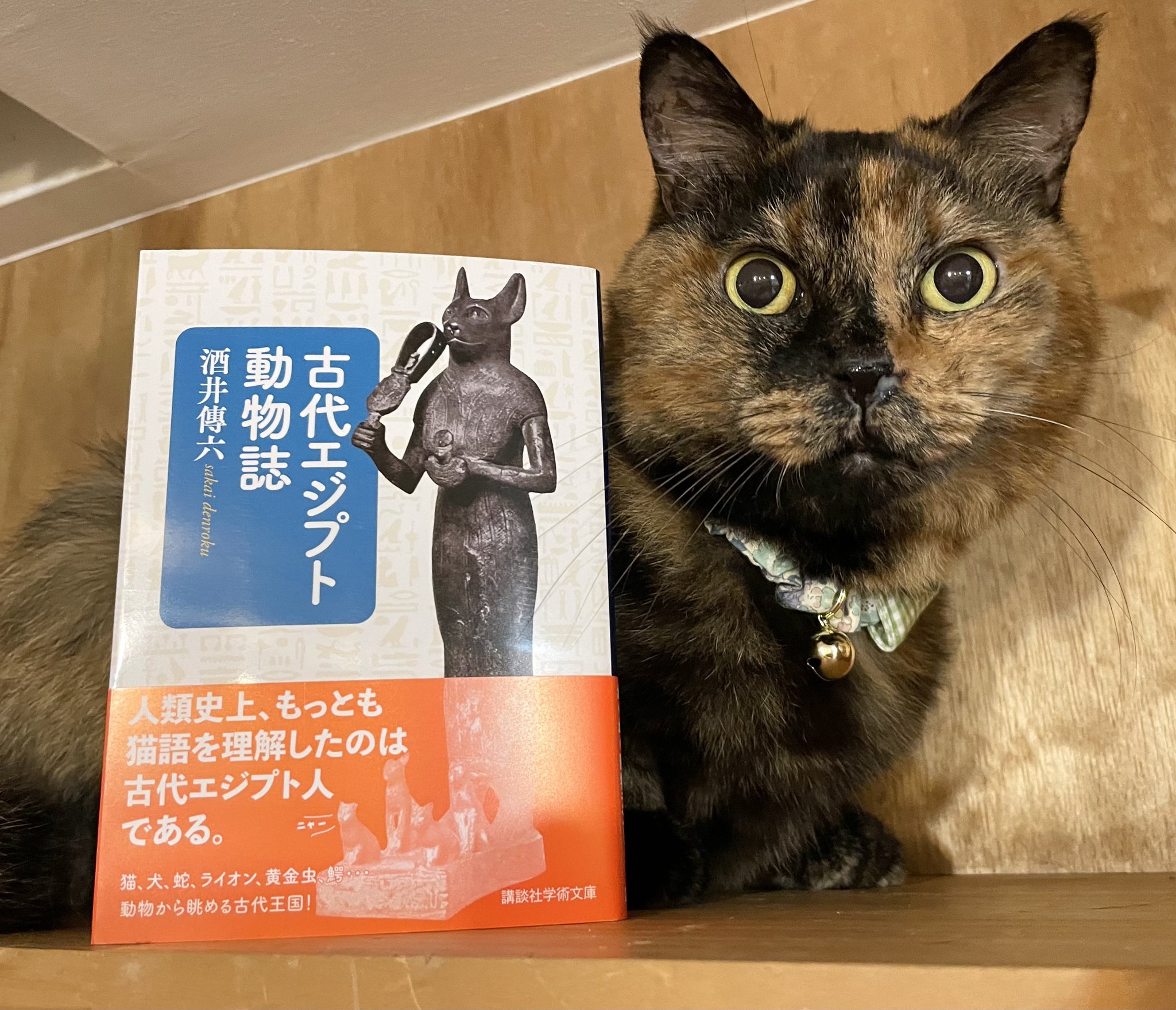 アメコミ 絶版 1974 グレイブスと幽霊 古代エジプト 聖なるネコ