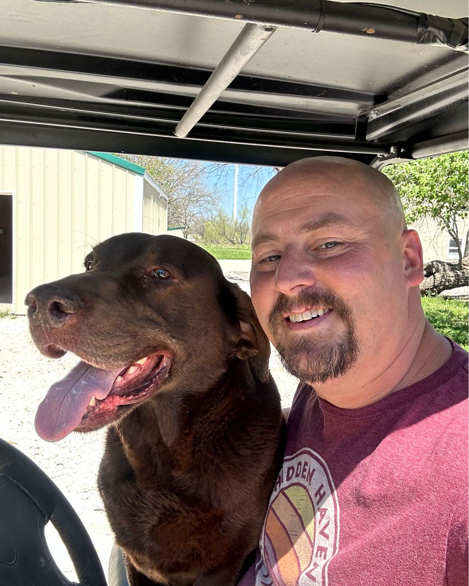 3RingKennels's tweet photo. Just a couple #GoodBoys enjoying a beautiful day. #TychoThePsycho https://t.co/W23rI7Dt9Y