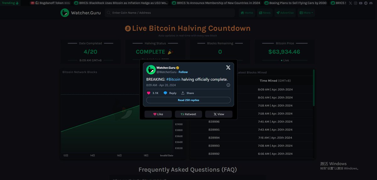 catknow1's tweet photo. Bitcoin half https://t.co/X1cry8VGc7