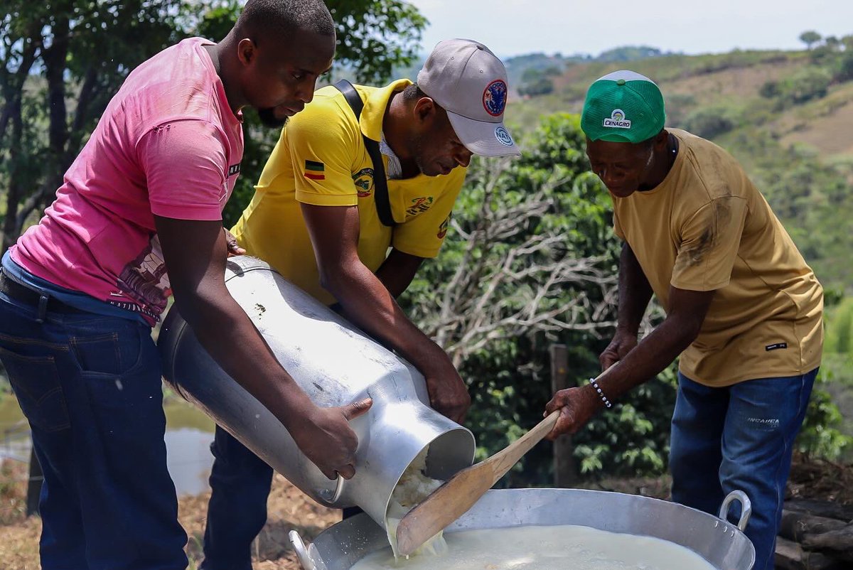 activosSAE's tweet photo. Estamos llevando la Paz y la Revolución Agroindustrial al Norte del Cauca.

Recuperamos la tierra donde los violentos del Bloque Calima de las AUC sembraron terror y con una inversión de $2.269 millones a través @ADR_Colombia, las comunidades negras se convertirán en empresarios del campo y llegará la paz a la región.

Ya adelantan un proyecto de Ganadería de alta genética con énfasis lechero que cambiará la vida de más de 12 mil personas del Consejo Comunitario Cuenca del Río Cauca y Microcuenca de los Rios Teta - Mazamorrero.