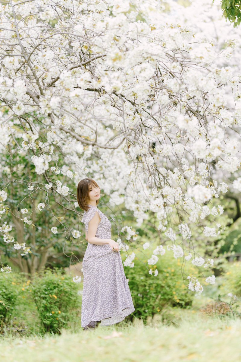 おはようございます🌸
桜ポトレのお写真🌸🌱🤍