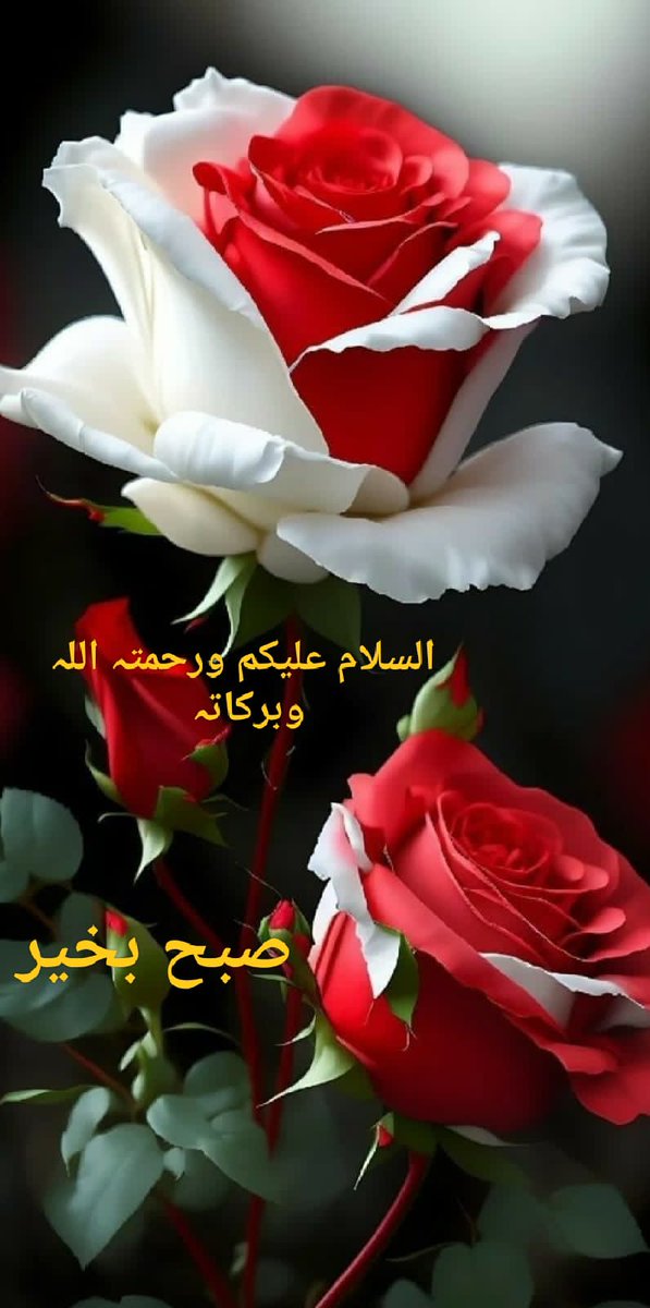 Assalam o Alaikum/Good Morning