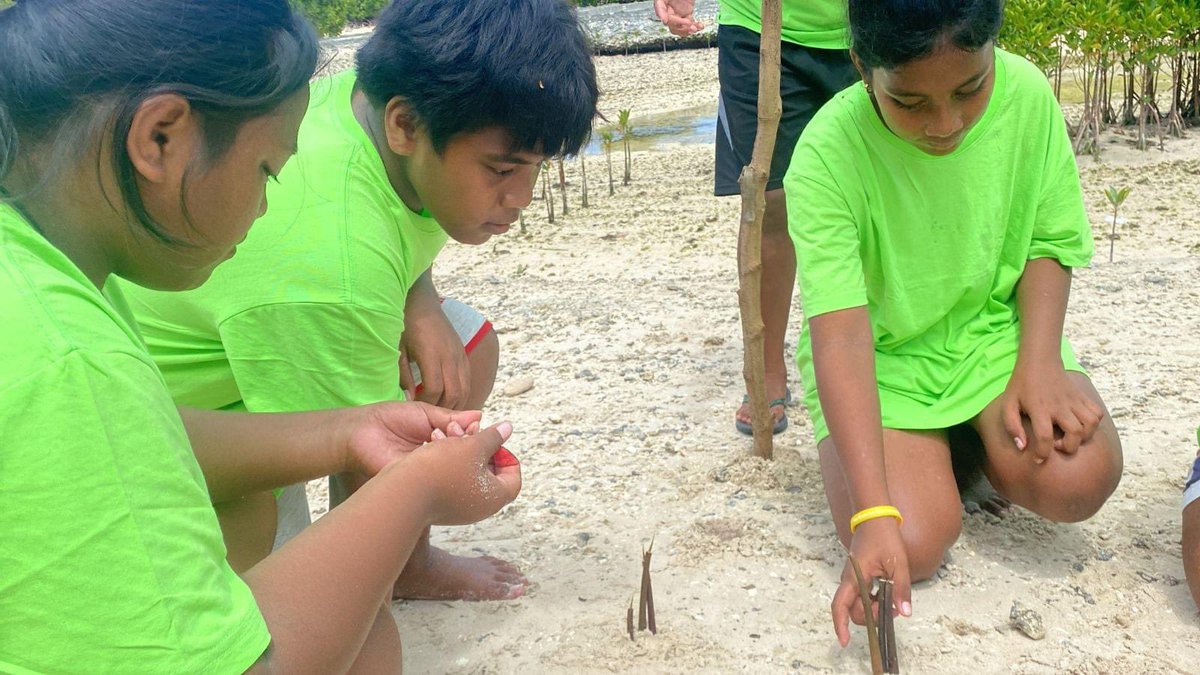 #GreenHope in Kiribati!🇰🇮
Mangroves are instrumental in mitigating climate change. Our members continue to protect their island & local #biodiversity by planting Te Tongo mangroves!🌱🌏For us at GHF, it is #EarthDayEveryday!
#EarthDay2024
#GHFWalksTheTalk #SDG15  #SDG14 #SDG13