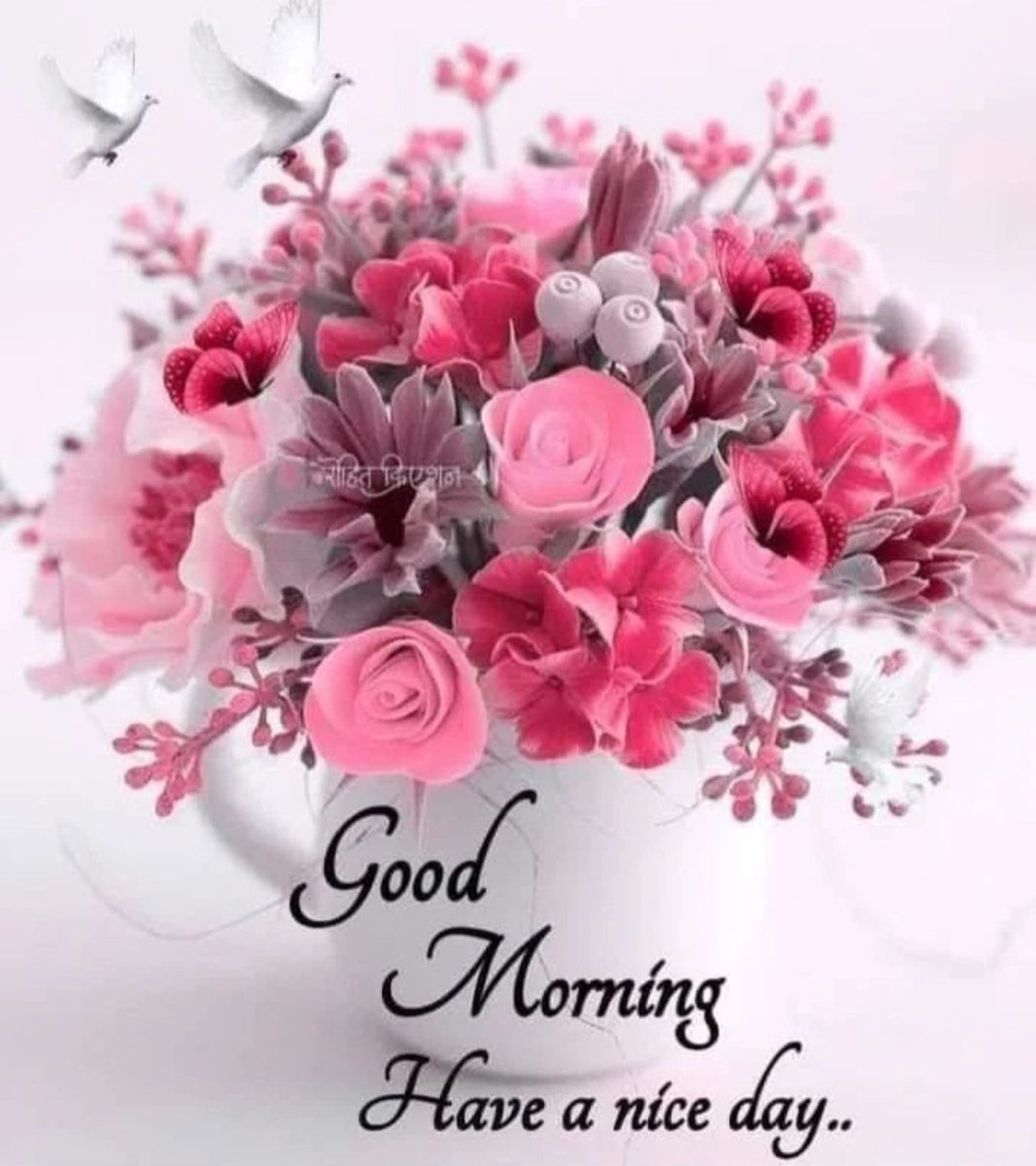 Good Morning