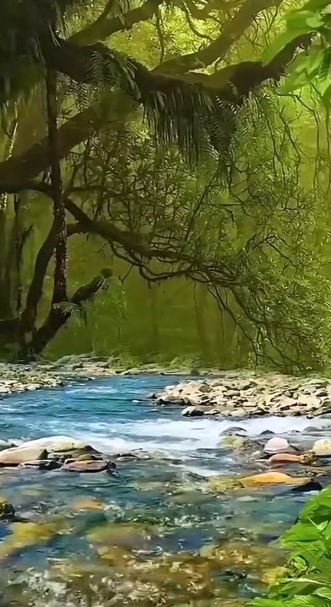 🔆 V 🔛 LOVE 🔆 tweet media