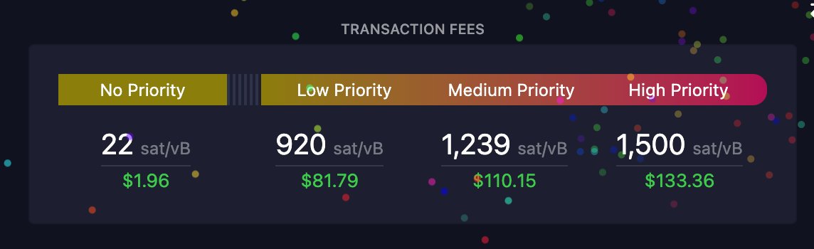 Now that the halving is over... fees are spiking because of Runes 😅