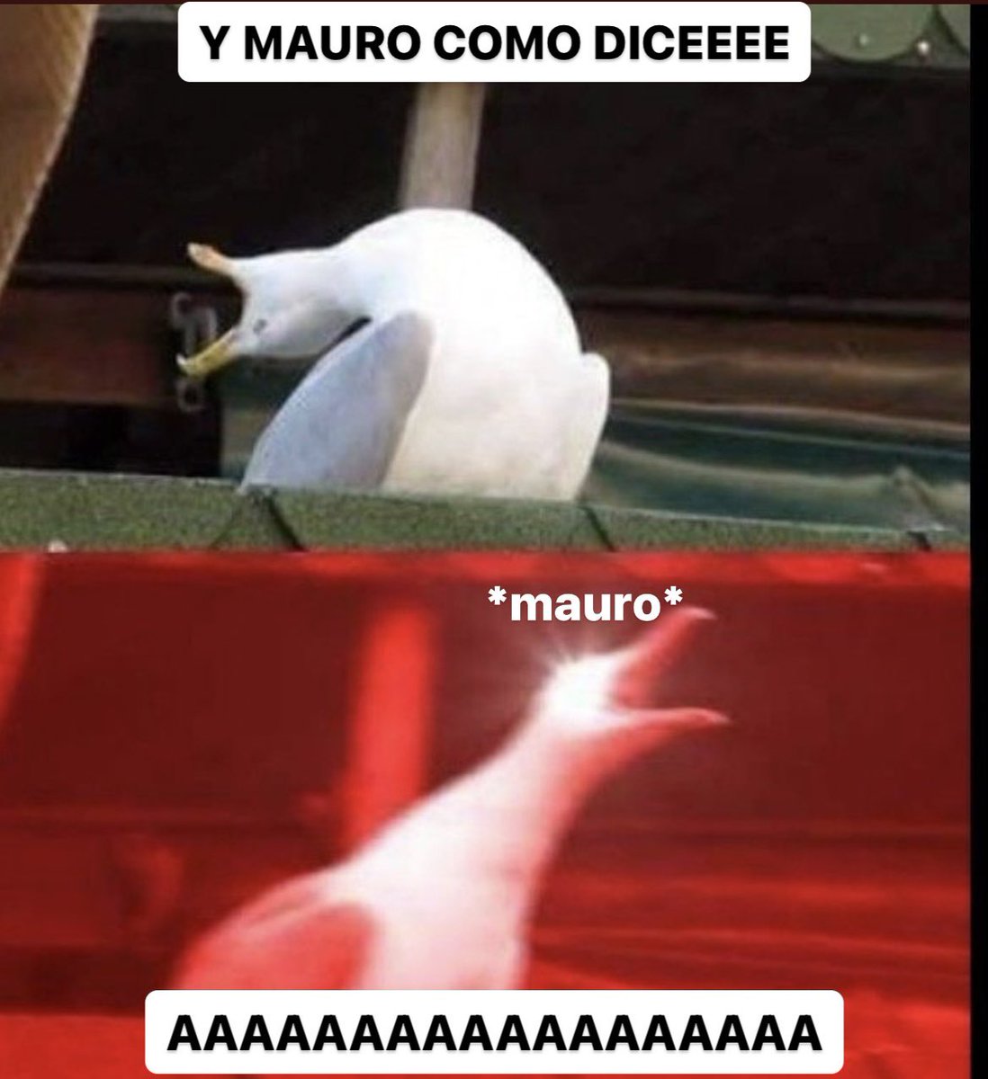 babymiluu's tweet photo. Y MAURO COMO DICEEEE https://t.co/bqTU7IBoKq