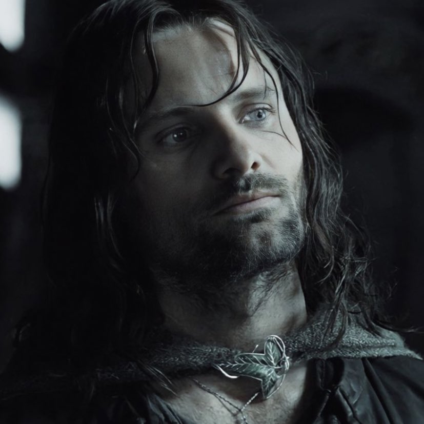 myelessar's tweet photo. need everyone to be aware of this aragorn picture https://t.co/wOStwG4ELR