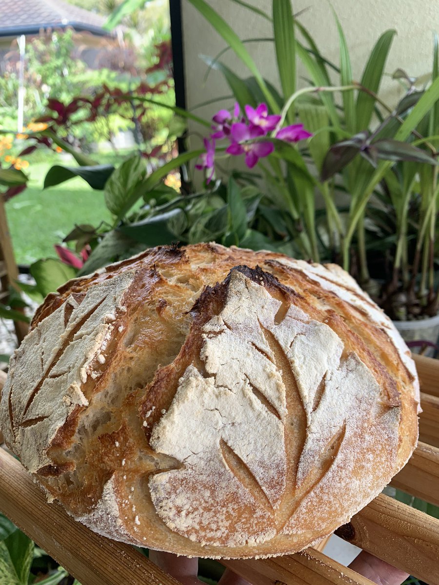 Plant and #Sourdough two of my favourite things🌱🥖