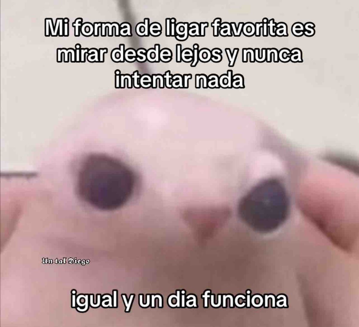 Guarromantico_'s tweet photo. Mi forma de ligar. https://t.co/9M4T8Th97y