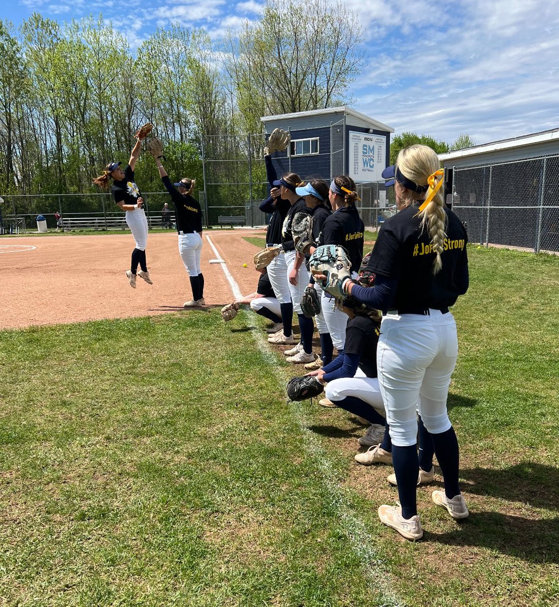 SMWCsb's tweet photo. @NFCAorg Strikeout Cancer Games https://t.co/4jVMzMHrKi