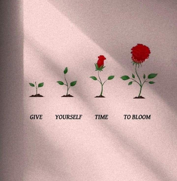 بہترین انسان وہ ہے جس کے پاس سماجی تبلیغ کیلئے اَلفاظ کی بجائے بہترین کِردار ہو ♥️
السلام عليكم 🌺🌺
