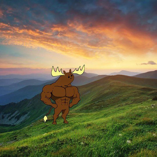 moos on Solana tweet media