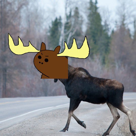 moos on Solana tweet media