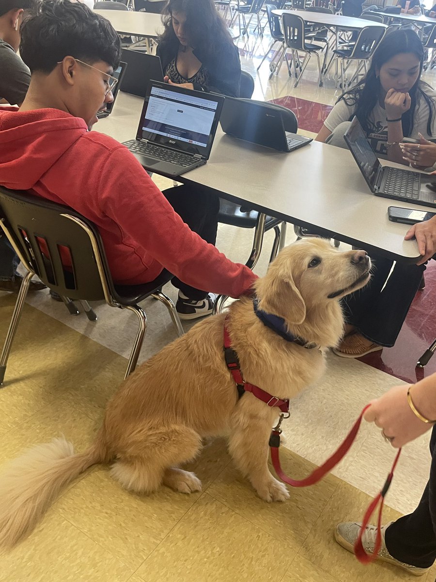 endeavoreagles's tweet photo. Love it when our kids plan for college during activity period. @comfort_dogs Nugget provided emotional support as students completed their #FAFSA, #applytexas, #promisegrant to continue their education when they graduate May 17! @ChannelviewISD https://t.co/wXlNb4AZqy