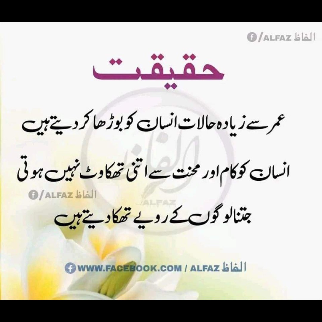 Amina (@786aminamughal) on Twitter photo 