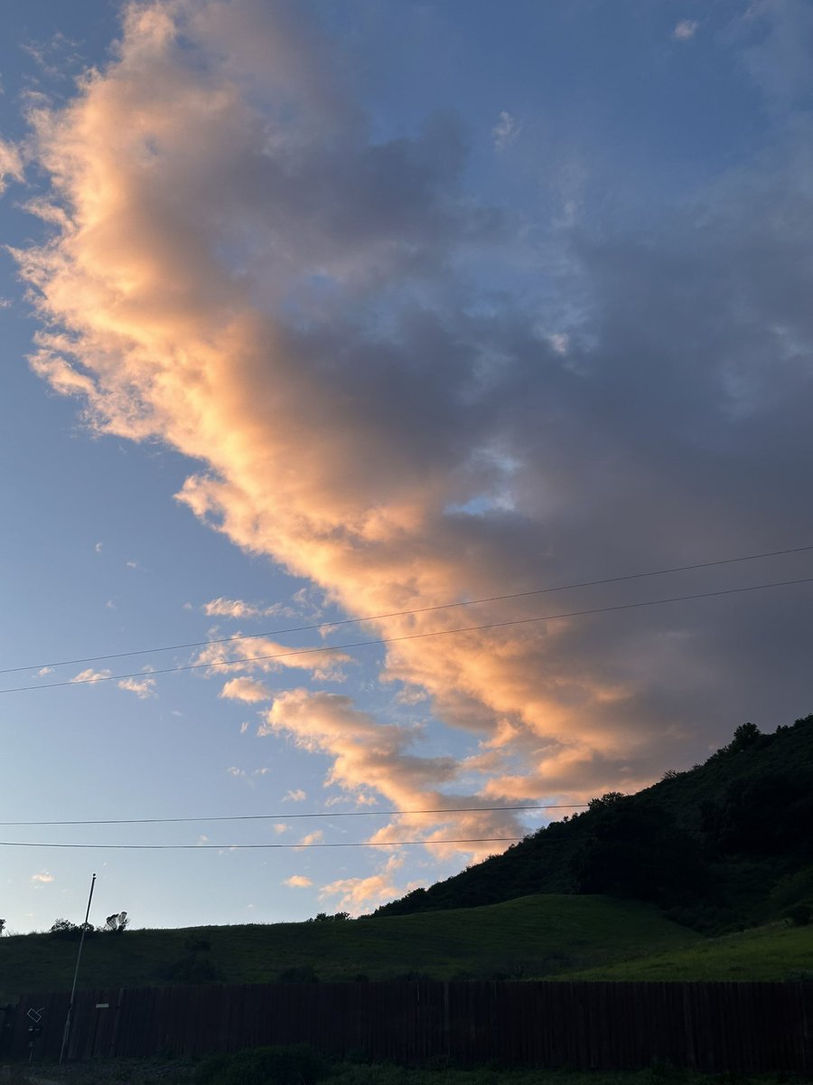 stuartkirsch's tweet image. May the beauty of Shabbat bring us each closer to peace and to wholeness. Let us heal our broken world from love. #ShabbatShalom.