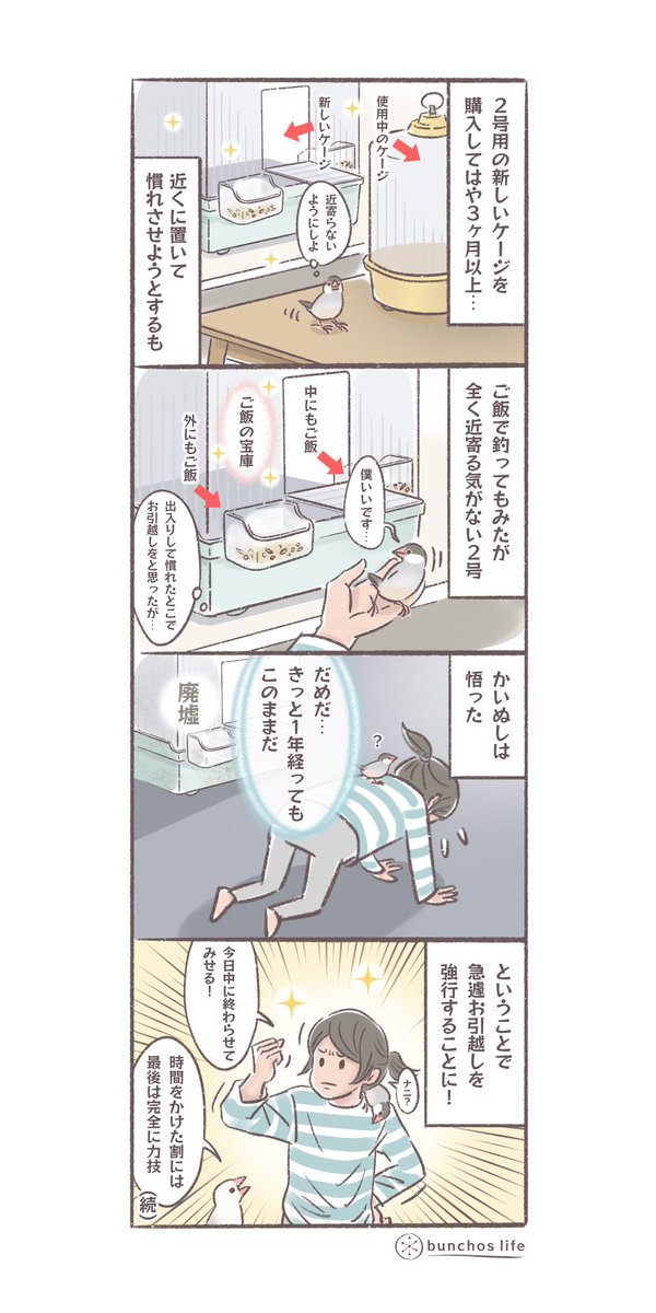 2号の新しいケージへのお引越し①
一昨日写真を投稿したとおりようやく重い腰をあげてケージの引越しさせました!
#文鳥 
#4コマ漫画 