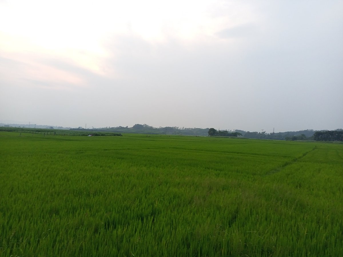 ducmo18's tweet image. Yên bình
Trong lành
Thư thái