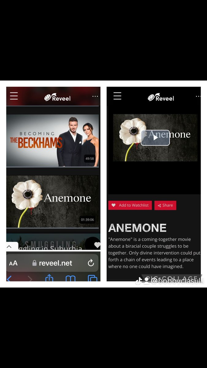 Bobby247's tweet photo. Ok our movie 🎥 ANEMONE has been licensed to 7 different streaming platforms, including Amazon prime ! It’s hard to tell when they are actually going to go live, could be literally any day . I do want to also announce that we are now live on REVEEL’s streaming platform. https://t.co/DQnHD4GiQ7