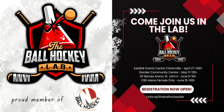 ballhockeynl.ca/theballhockeyl…