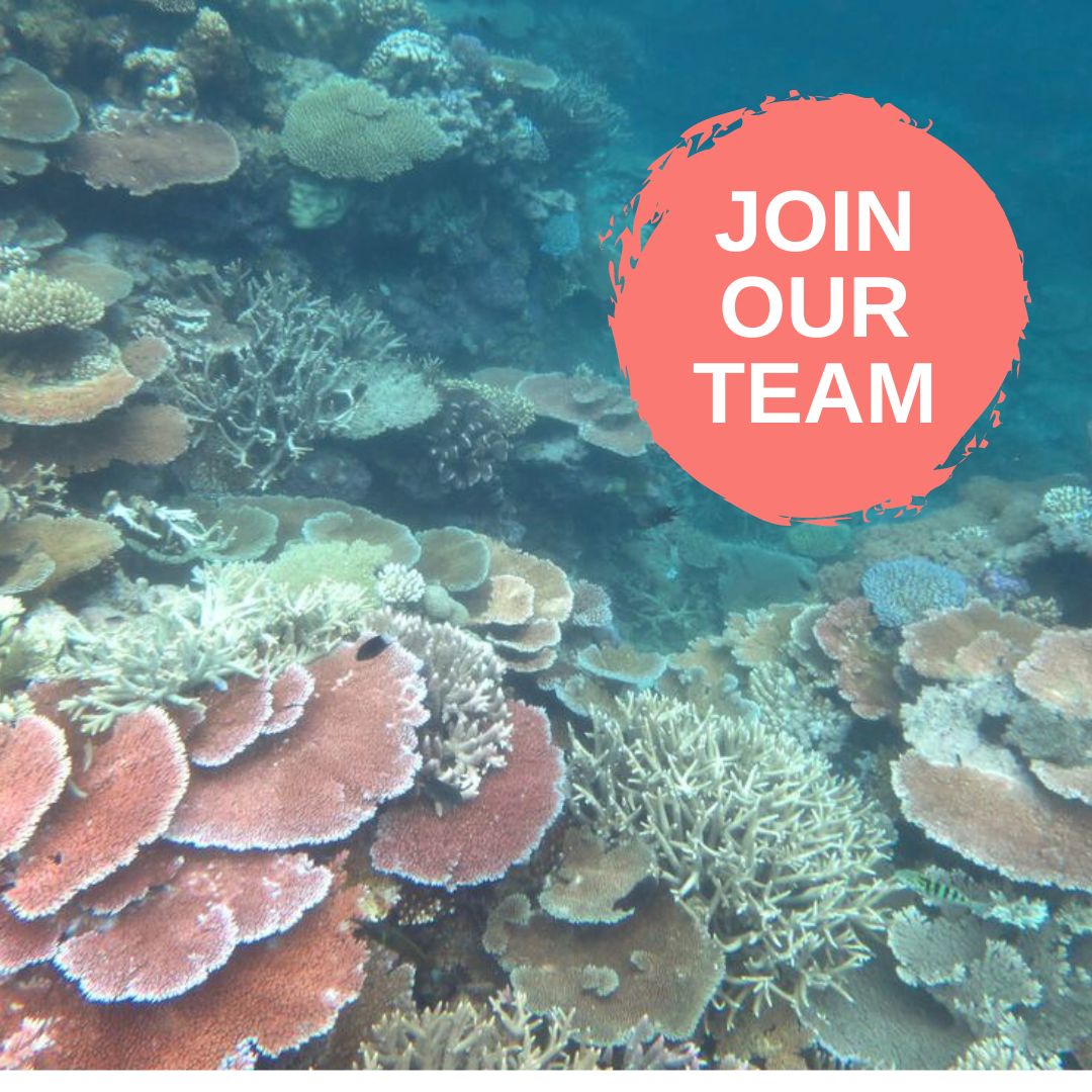 Join our team in Townsville

Closing soon:
🐠 Research Technician - Molecular Biology
🐠 Senior Remuneration Officer
🐟 Pilot Deployment Program Project Officer (x1 Research Planning, x1 Contract Delivery)
🐟 Marine Asset Coordinator

Apply ➡️ bit.ly/AIMS_jobs
