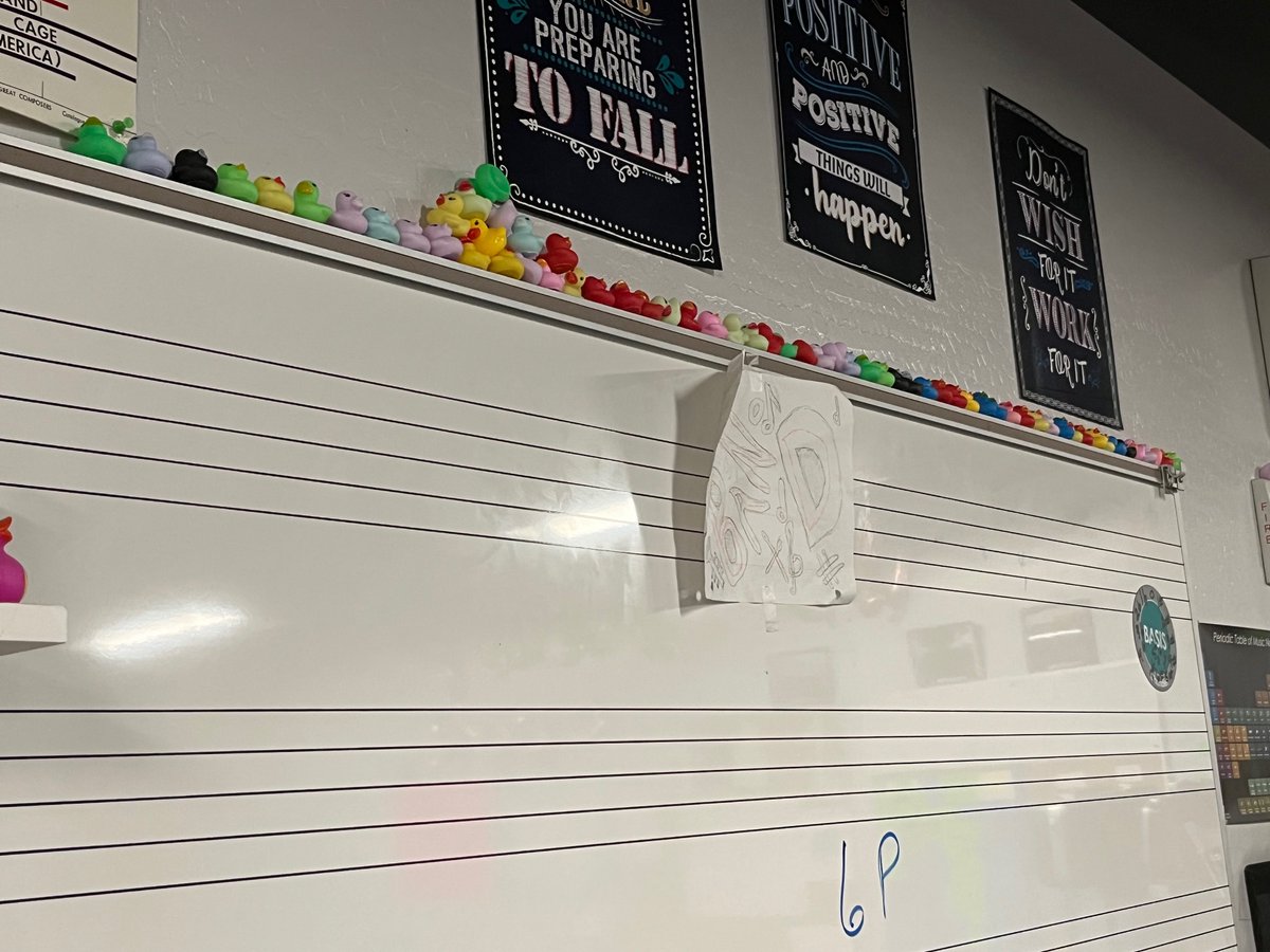 Flashback Friday to our ATF "Dollar Ducks for Teachers" campaign! Mrs. Cook's room is filled up with ducks now! 🦆