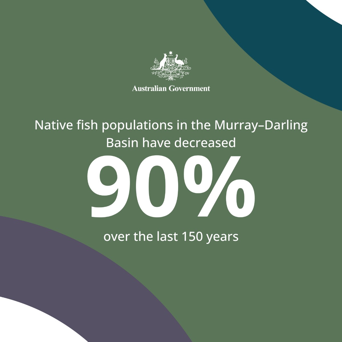 Did you know? Native fish populations in the #MurrayDarlingRivers have fallen by over 90% in 150 years 🐟💔 Learn how our plan will revitalise our rivers and safeguard our iconic Aussie species. Discover more at brnw.ch/21wJ00v #MurrayDarling