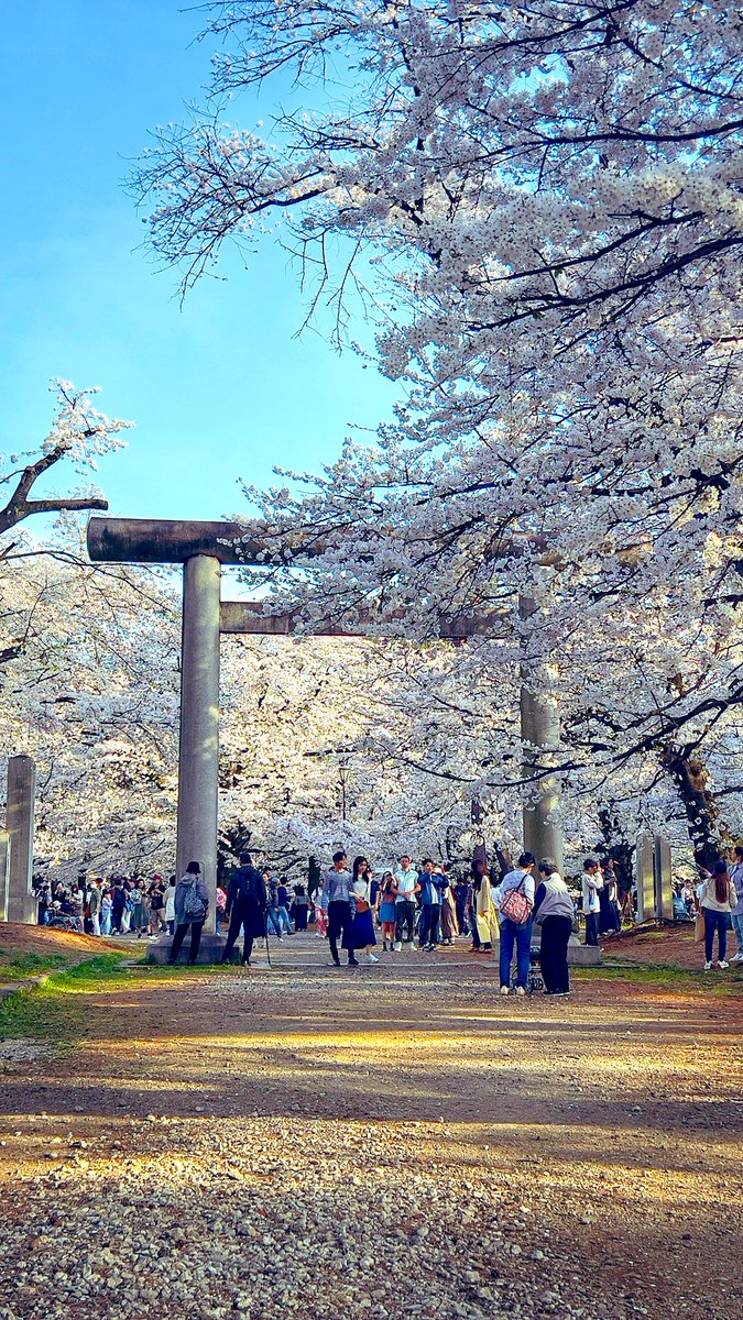 Lost in Japan tweet media