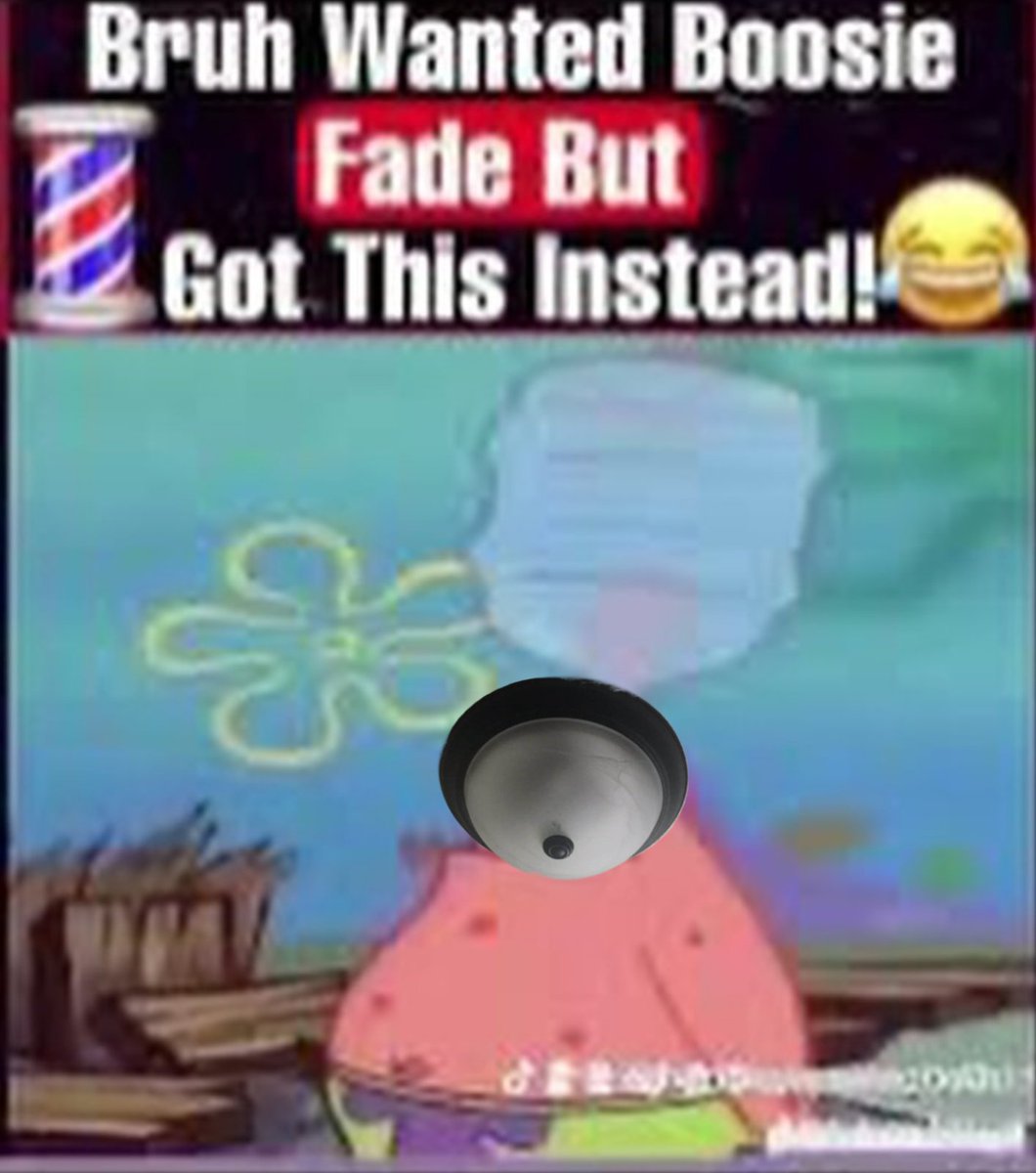 ceiling__titty's tweet image. 