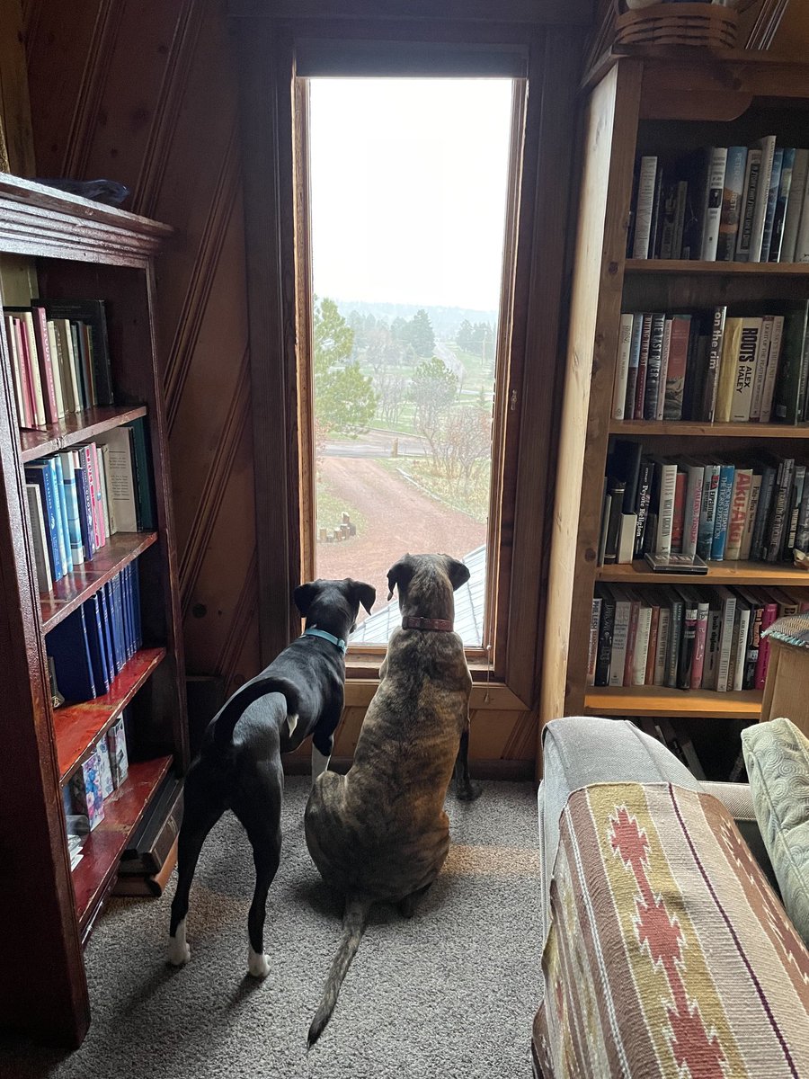 RRRRes's tweet photo. #CoWx These girls can’t believe it’s snowing on April 19! #PalmerDivide https://t.co/2jKJTOzygD