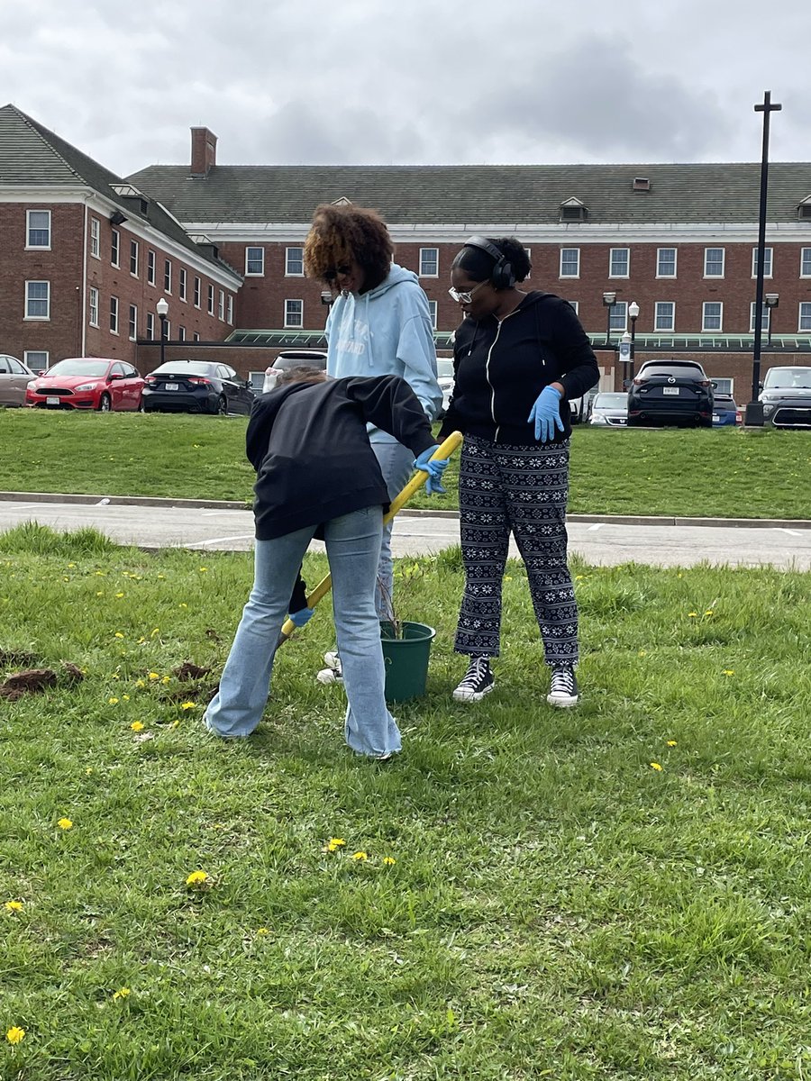 CSI Sustainability tweet media