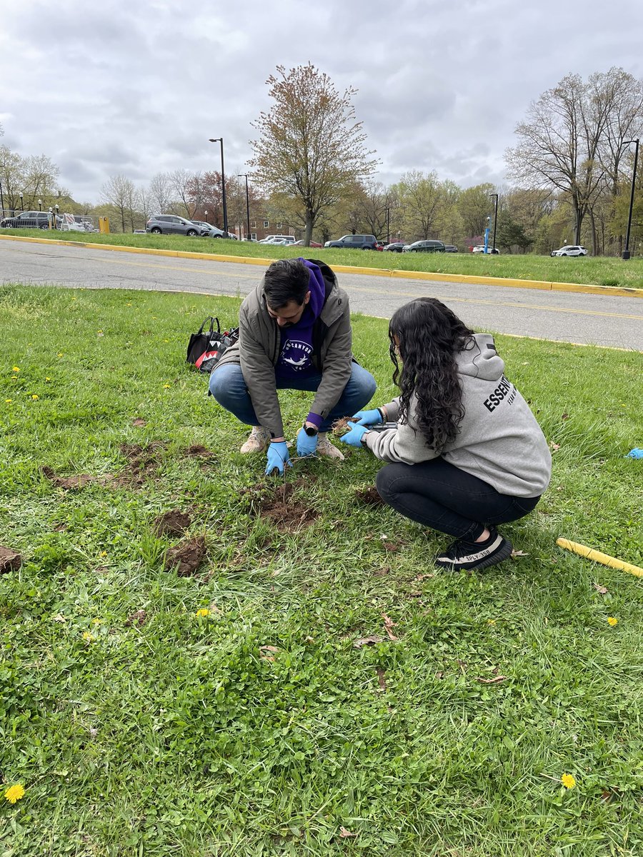 CSI Sustainability tweet media