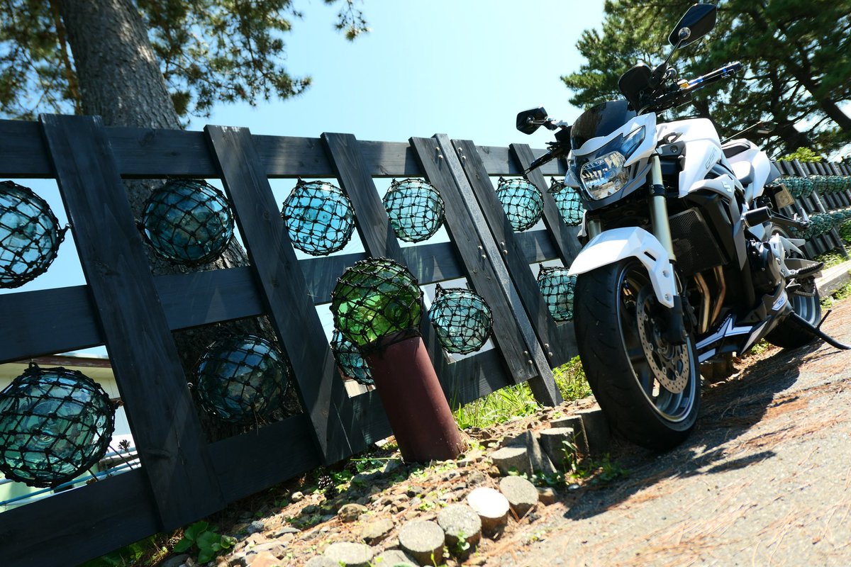 もっちぃ Mocchi-Mocchi- ぬいぐるみS すもっぴ | らぶいーず オンライン