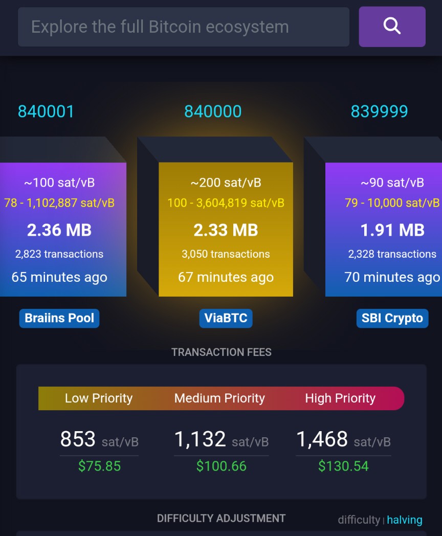 Merry Halving &amp; happy new Epoch!