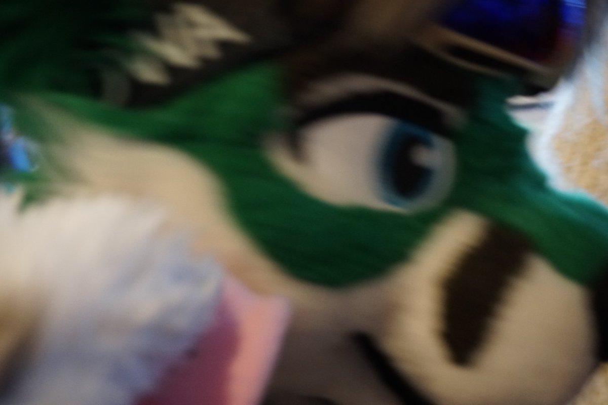 zaika_rabbit's tweet photo. I have licked @JibKodi at #FurDU2024 https://t.co/W7z56Bo3Fi