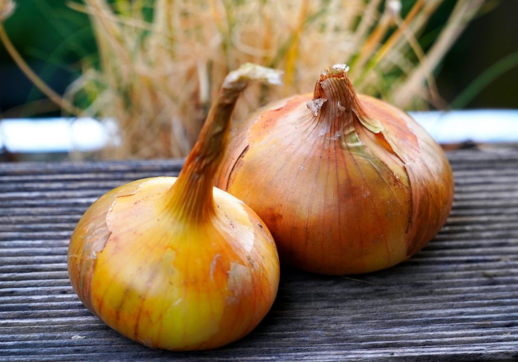 Discover the amazing uses for onions in natural remedies. From reducing swelling to soothing bruises, learn how onions can provide relief. pioneerthinking.com/unusual-uses-f… #onions #usesfor