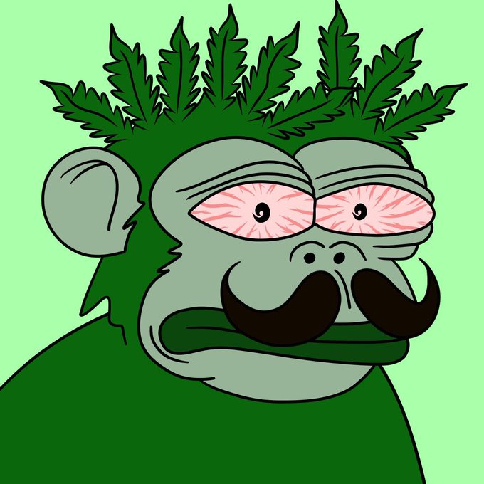 vanthedog.sei tweet media