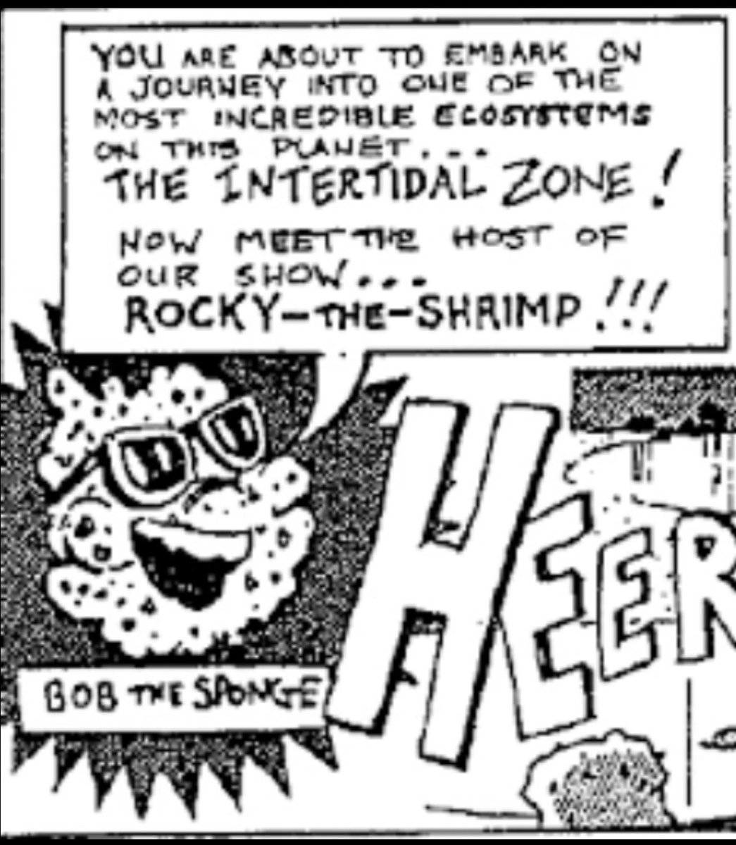 Bob the Sponge is real!! It’s the name of Hillenburg’s Sponge character from his comic “The Intertidal Zone”