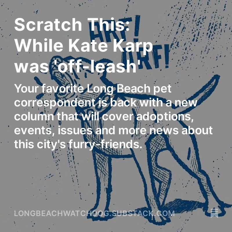 🐶🐱Long Beach’s favorite pets correspondent is now part of the Dog Pound (ARF ARF)! Kate Karp (@LastWhomStandin) will bring you adoptions, events, animal issues and more news about this city's furry friends, every Friday on the Watchdog. Read it here: longbeachwatchdog.substack.com/p/scratch-this…