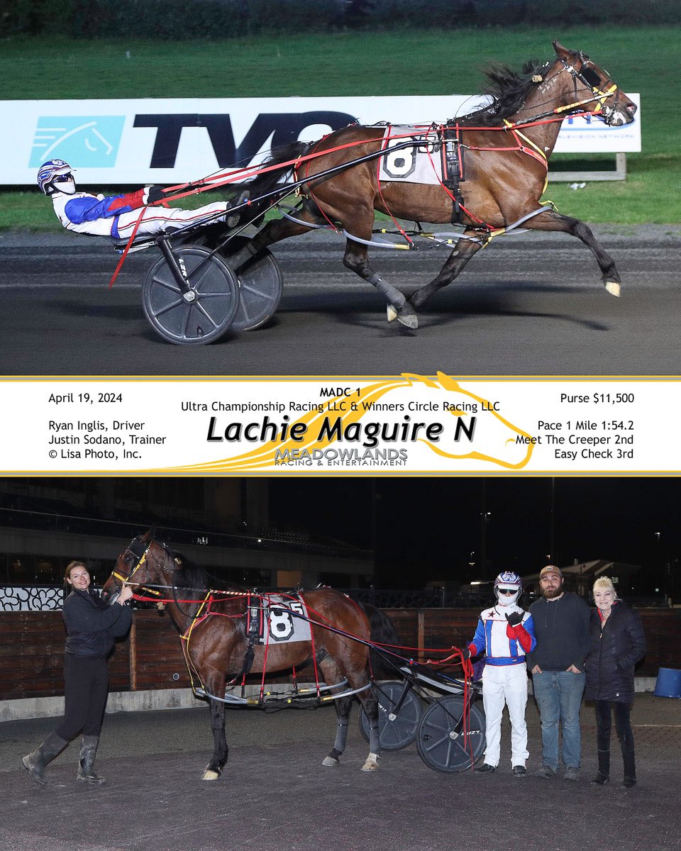 The old man gets it done @TheMeadowlands Lachie Maguire wins his first of the year and 47th of his career! Awesome training job @jsodanoracing & stellar drive Ryan Inglis! #UCR #LachieMaguire #Meadowlands #BigM @JessicaOtten1 @kenvoiceover @DaveLittleBigM 📸: @LisaPhotoM1