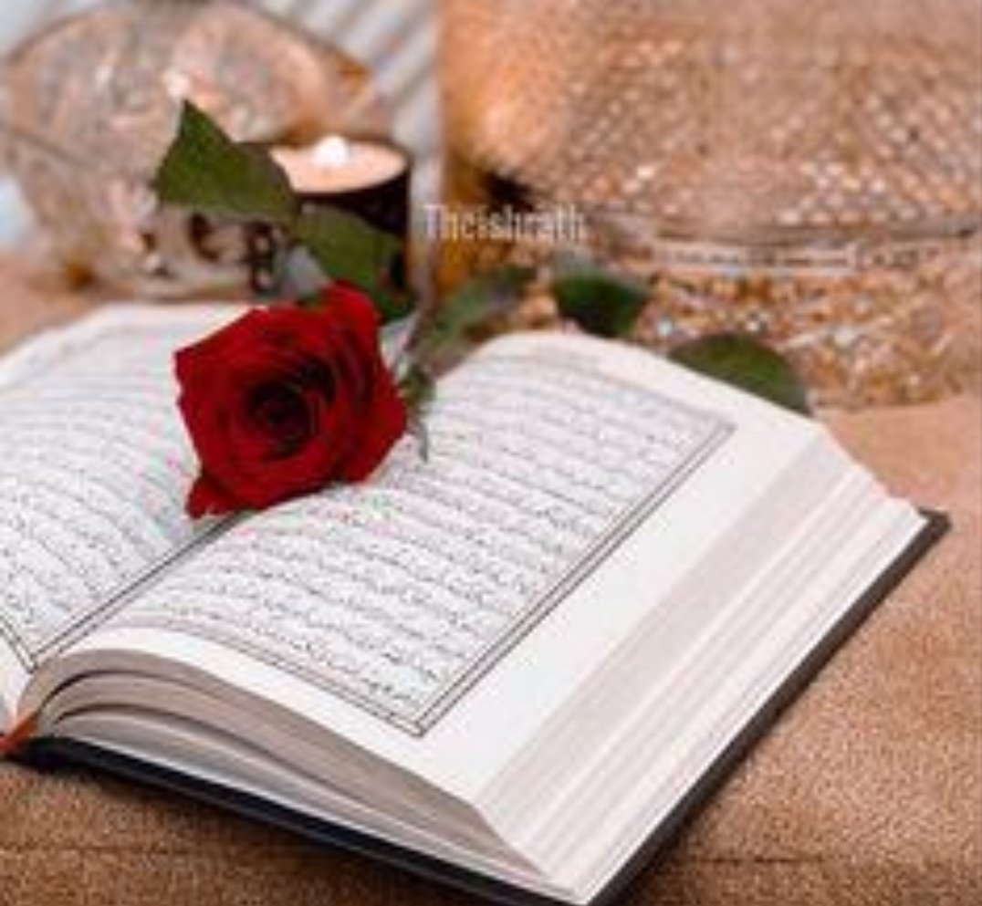 MH .Mahii✨ tweet media