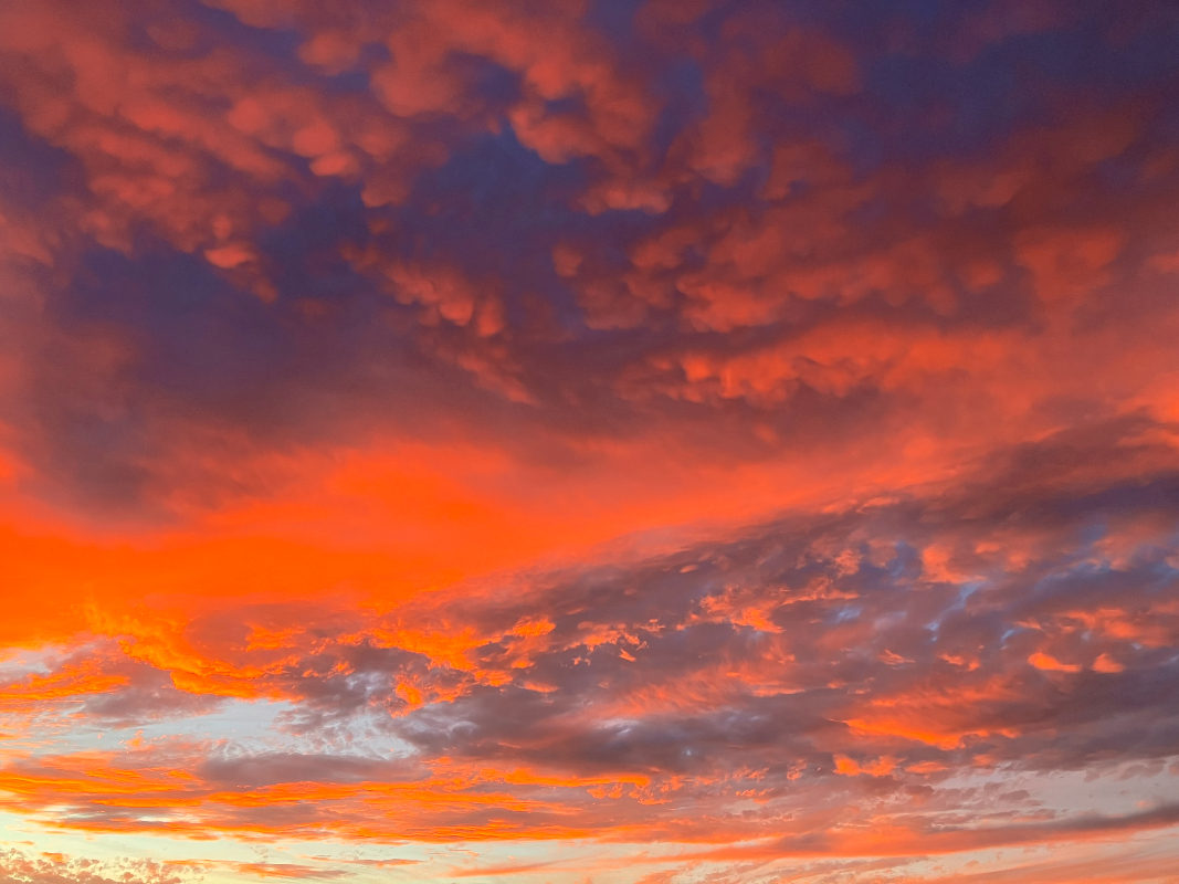 #sunsets #SunsetObsession #sunsetphotography #writingcommunity #Christianfiction #ACFW
A couple of nights ago we had a really pretty sunset.
Okay, back to writing.💻